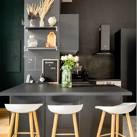 דירה Madame Reve, L'esquermoise ליל