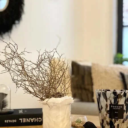 דירה Madame Reve, L'esquermoise ליל