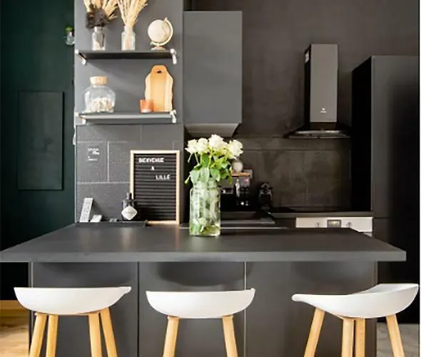 Appartement Madame Reve, L'esquermoise Rijsel