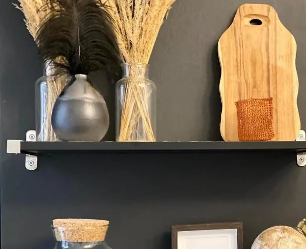 Madame Reve, L'esquermoise Appartement