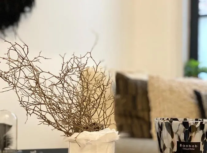 Appartement Madame Reve, L'esquermoise Rijsel