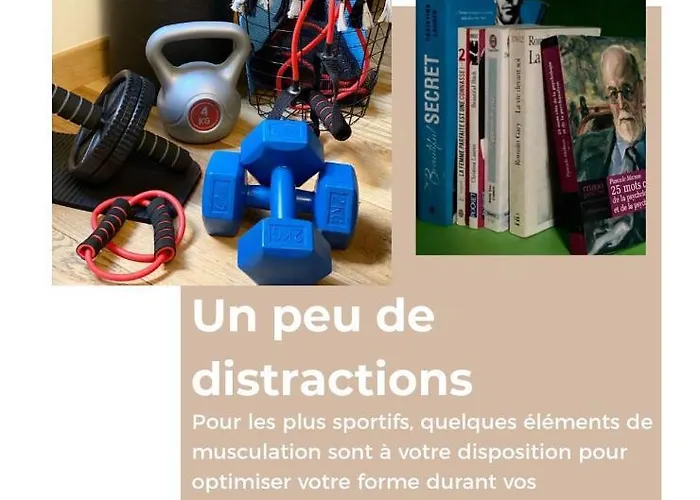 Appartement Madame Reve, L'esquermoise